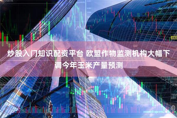 炒股入门知识配资平台 欧盟作物监测机构大幅下调今年玉米产量预测