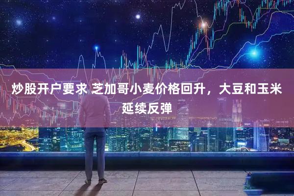 炒股开户要求 芝加哥小麦价格回升，大豆和玉米延续反弹