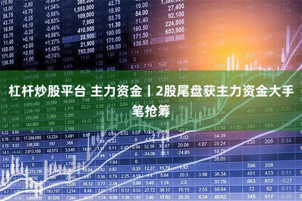 杠杆炒股平台 主力资金丨2股尾盘获主力资金大手笔抢筹
