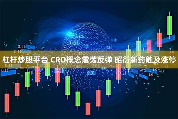 杠杆炒股平台 CRO概念震荡反弹 昭衍新药触及涨停